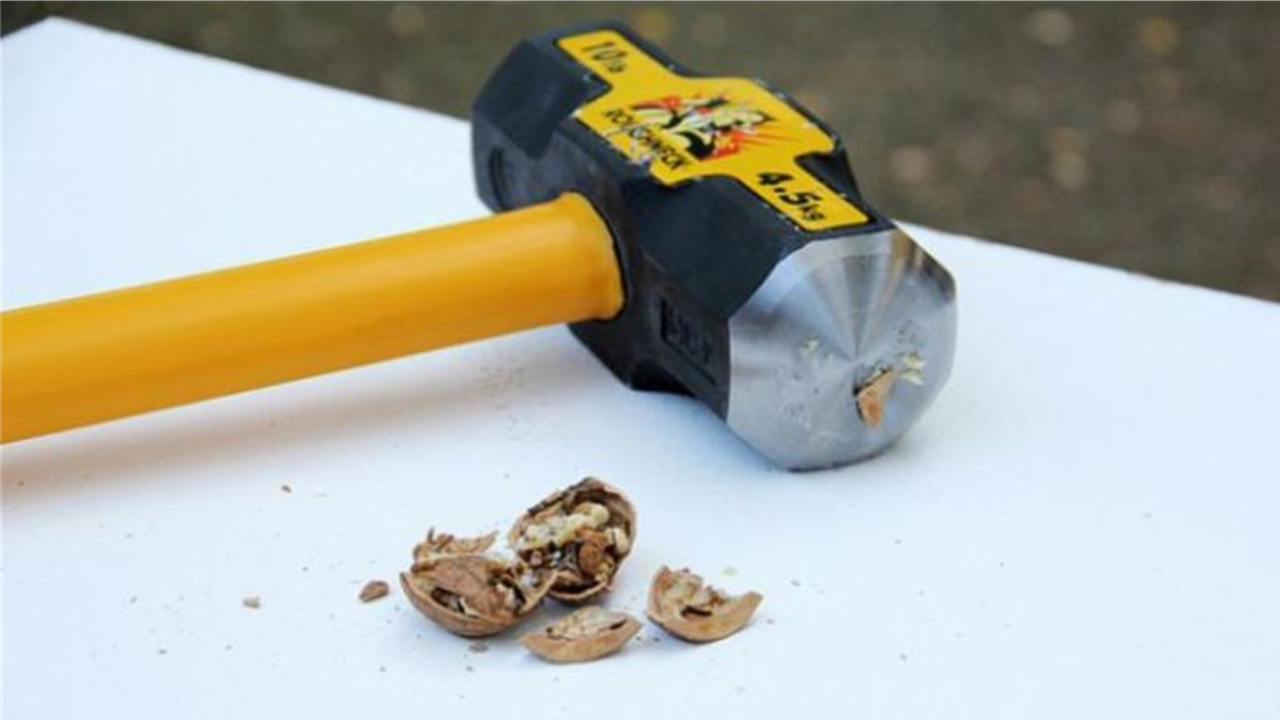 A picture of a sledgehammer which has been used to smash a Walnut