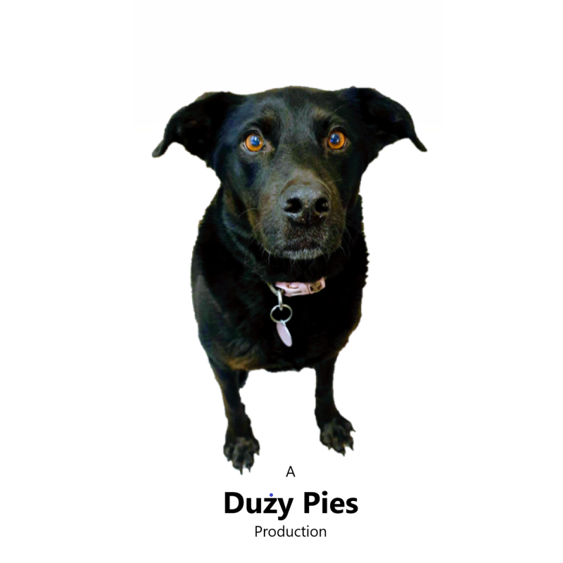 Duzy Pies logo